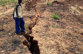 Image result for deforestation