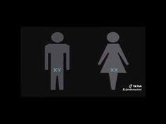 Sirkulasi darah dan produksi susu dijelaskan dalam quran. 12 Al Quran Dan Penemuan Sains Ideas Quran Nasa Images Dan