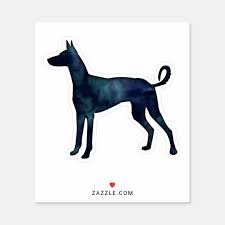 American Black And White Hound Dog Ibizan Hound Dog Black Watercolor Silhouette Sticker Zazzle Com In 2020 Ibizan Hound Hound Dog Hound Dog Breeds