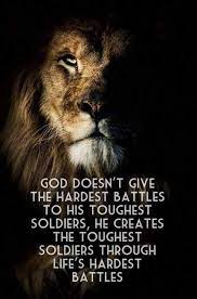 Here are few inspiring quotes on images, we are sure that they will be source of inspiration in your lives, and we will be reason of some good things in your lives share your experience about. Old But Always New Inspirational Quotes Motivation Warrior Quotes Lion Quotes