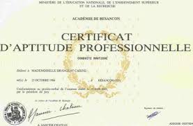 Le cap (certificat d'aptitude professionnelle). Certificat D Aptitude Professionnelle Blog De Daf Xf 76