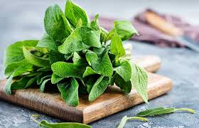 Home remedies for chlamydia garlic. Home Remedies For Chlamydia