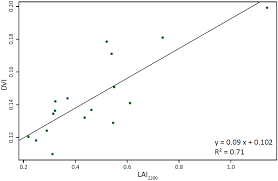 Image result for Elytrophorus globularis
