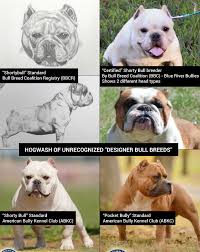 Maceo, a 90lb pitbull getting pulled around by my 30lb french bulldog. 2020 Dog Bite Fatality Woman Found Mauled Mutilated And Dead After Attack By Own Dogs In Lake County Illinois Dogsbite Blog