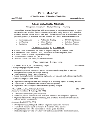 finance resume example sample chief