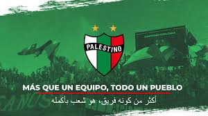 Club Deportivo Palestino É¢è±