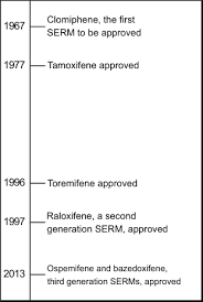 Image result for Selective Estrogen Receptor Modulator