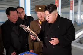 That might not be true because they're making missiles. Mccain Called Kim Jong Un A Crazy Fat Kid And Nk Is Pissed