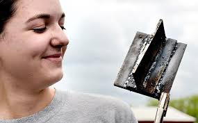 Nearly 1,000 students gather for 87th annual New York State FFA convention 