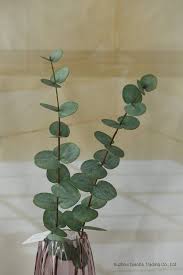 Silk eucalyptus leaves on alibaba.com when making attractive decorations that last a long time. New Arrival 48 Eucalyptus Leaves Draping Spray Spring Plant Decoration China Artificial Leaf And Decoration Leaf Price Made In China Com