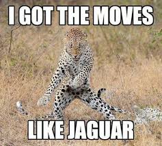 I Got The Moves Funny Animal Jokes Funny Animal Memes Funny Animal Pictures