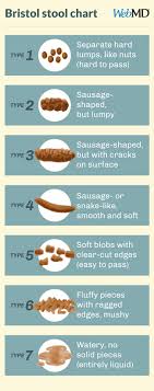 bristol stool chart cake fresh stool bristol chart stool