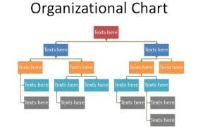 Organizational Chart Template Google Docs Chartreusemodern Com