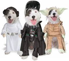 Geeky Costumes For Your Dog Star Wars Pet Costumes Star Wars Dog Costumes Pet Costumes