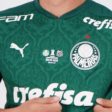 Delfin x palmeiras (copa libertadores 2020 oitavas de final; Puma Palmeiras 2020 Home Libertadores Final Match Jersey Futfanatics