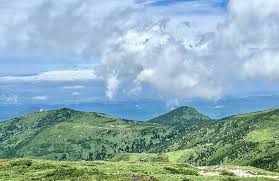 Image result for Hakkoda Walk