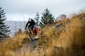 If you've played a fair amount, you've likely amassed a decent collection of bugs and fish in the museum, perhaps exhausting those readily available here in march. Sampling Scottish Singletrack Mountain Bike Action Magazine