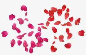 Rose Leaves Png Tumblr Adobe Photoshop Draw A Rose Petal 1024x576 Png Download Pngkit Start drawing the rose petals by first adding their front sides (facing towards the viewer).