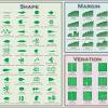 Maybe you would like to learn more about one of these? 3