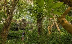 It covers about 7% of the earth's surface and forms one of the most massive biomes. Biosphere 2 Study Shows Tropical Forest Resilience