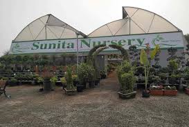 Chhattisgarh has india's finest waterfalls, comparable to the best in the world. Top 50 Plant Nurseries In Raipur Chhattisgarh Best Nursery Plant Suppliers Justdial
