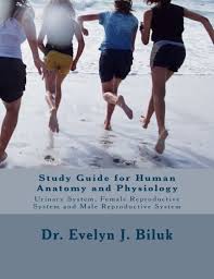 Study Guide For Human Anatomy And Physiology Urinary System Female Reproductive System And Male Reproductive System Buy Online In Bahamas At Bahamas Desertcart Com Productid 59000001