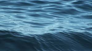 This Is A Beautiful Natural Stock Footage Video 100 Royalty Free 9154673 Shutterstock 2,093 free videos of sea. this is a beautiful natural stock footage video 100 royalty free 9154673 shutterstock