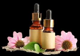 Image result for Sphaeranthus flexuosus