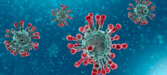 Coronavirus vaccine nears final tests in cuba. Novel Coronavirus Where To Find Information European Food Safety