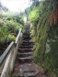 Area enthusiasts claim winter is the best time to surf here. Ceremonial Rock Stairs Patrick S Point State Park California Outdoor Stairways On Waymarking Com