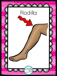 El juego quién soy yo y cómo jugarlo con los niños. 120 Ideas De Juego Quien Soy Tarjeta Didactica Actividades Para Preescolar El Cuerpo Preescolar