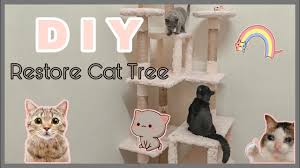 Cara melatih kucing agar mengerti bahasa manusia. Diy Cute Cat Tree Rumah Kucing Comel Youtube
