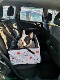 kutya box autóba 3