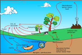 Check spelling or type a new query. Aliran Energi Dan Daur Materi