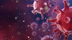 .yurda giriş yapan 15 kişide mutasyonlu virüs tespit edilmiştir dedi. Koronavirus Mutasyon Mu Gecirdi Iste Koronavirus Mutasyonu Ile Ilgili Merak Edilenler