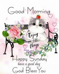 See more ideas about blessed sunday quotes, blessed sunday we get you the best sunday blessing quotes, wishes, images, pictures, wallpapers to wish your friends and family a blessed sunday. Blessed Good Morning Happy Sunday Quote Pictures Photos And Images For Facebook Tumblr Pi Good Morning Happy Sunday Happy Sunday Quotes Happy Sunday Images