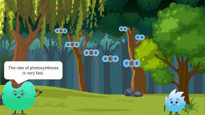 Where does respiration take place in animals. Explain Respiration In Plants Youtube