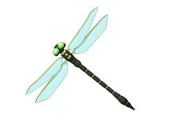 初心者も簡単！トンボのイラストの描き方 - オンラインイラスト教室アタムアカデミー