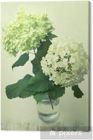 Delicati ed eleganti, sono perfetti per il giardino i fiori bianchi conferiscono varietà cromatica al nostro giardino (ma anche alla nostra terrazza), grazie. Quadro Su Tela Vintage Ortensie Fiori Bianchi In Un Vaso Sul Tavolo In Legno Pixers Viviamo Per Il Cambiamento