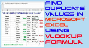 How To Find Duplicate Values In Excel Using Vlookup Formula Technotrait Excel Excel Formula Formula