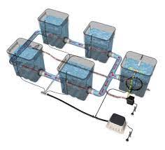 Understanding Dwc And Recirculating Deep Water Culture Get Bigger Blooms With Hydroponics