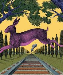 A Peacock In Dundee Illustrazioni Arte Arte Del Libro