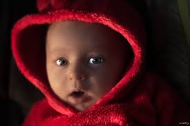 Christopher Penney Photography