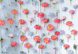 Vinny's pet shop, brooklyn, new york. Nanagobah Pet Store Brooklyn Heights