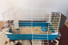 Standard chinchilla, dutch, english spot, florida white, havana, lilac, mini lop, mini satin, silver, tan,. How To Find The Best Rabbit Cage For Lionhead Rabbits