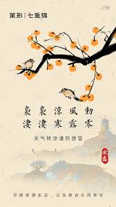 中国风水墨风寒露节气海报 character fictional characters poster