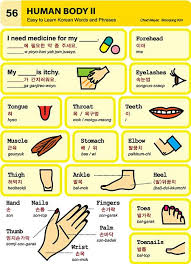 By jeremy kirk australia correspondent, idg news service | toda. Korean Language íêµ­ì´ Easy Korean Series 56 To 60 Korean Words Korean Language Learn Korean