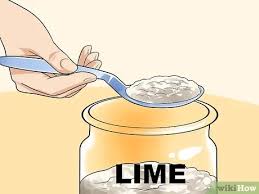 Mar 03, 2021 · you might not realize it, but you can actually use coffee grounds in your garden for a natural fertilizer packed with minerals and nutrients. How To Use Coffee Grounds In Your Garden 9 Steps With Pictures