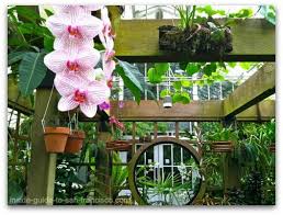 We did not find results for: San Francisco Conservatory Of Flowers A Local S Review