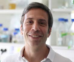 Learning from viruses and parasites in times of peace